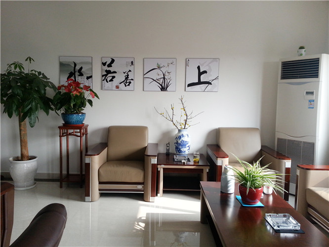 上海贏立砂漿總經辦綠植布置案例欣賞