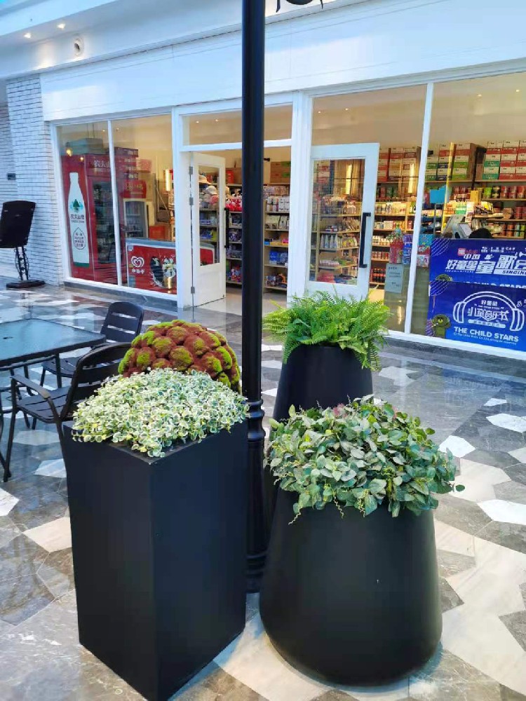 上海智微世紀麗呈酒店室內綠植租擺