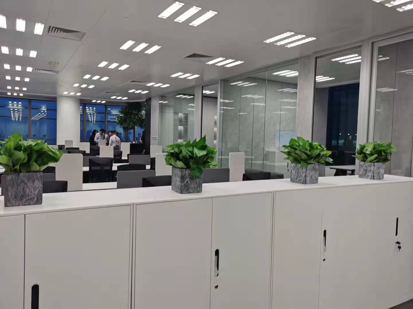 世紀匯商業廣場綠植進場