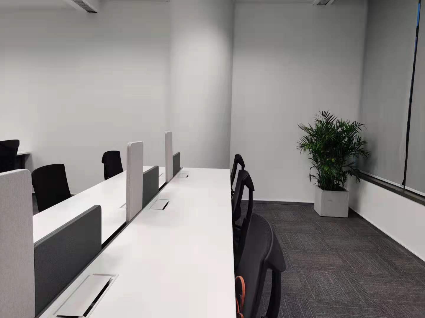 世紀匯商業廣場綠植進場